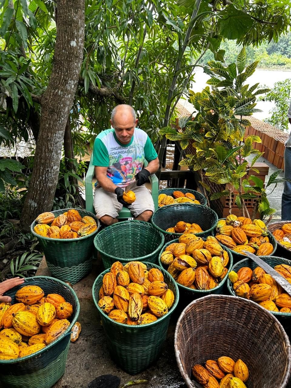 Produtor familiar da cooperativa CAEPIM no campo