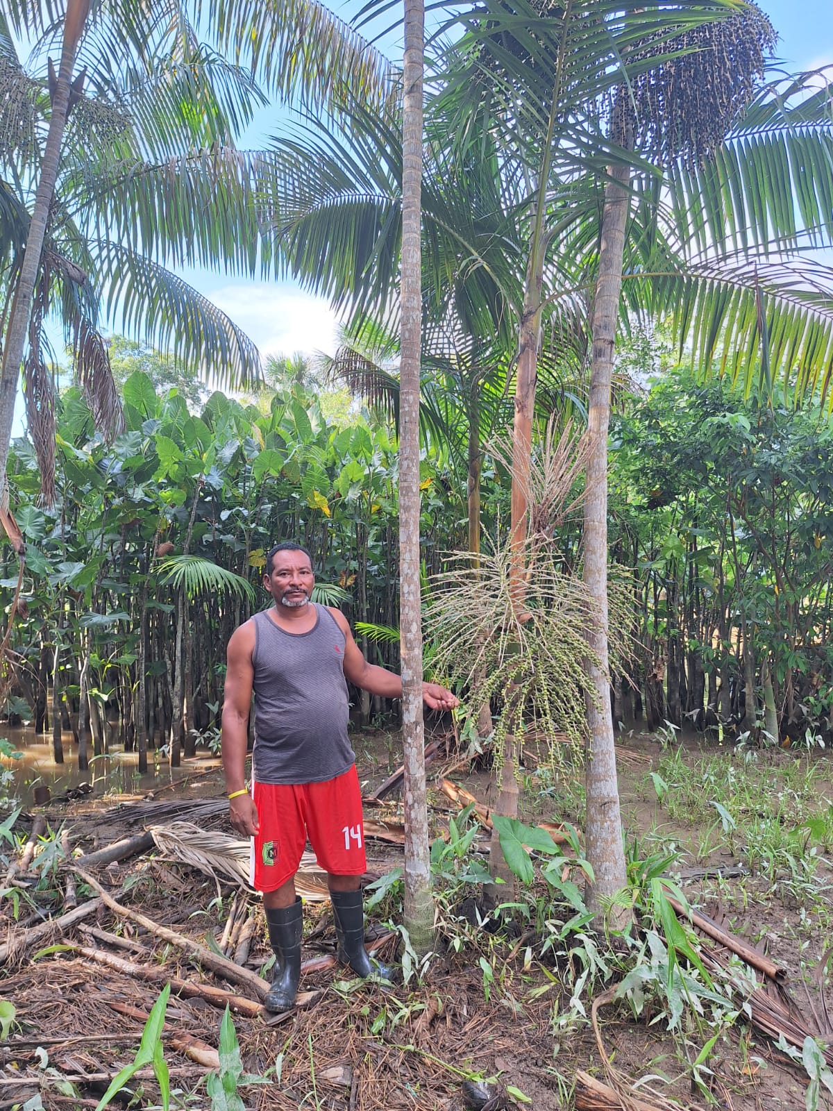 Mudas nativas prontas para plantio no Fundo Flora